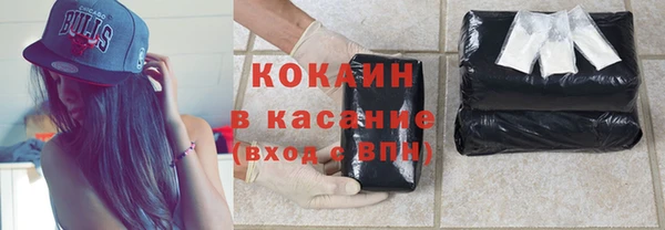 сатива Бронницы