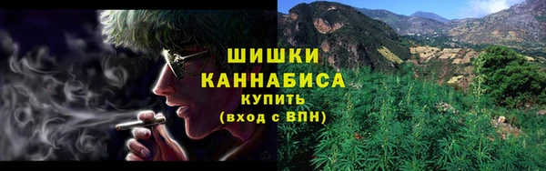 сатива Бронницы