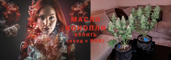 сатива Бронницы