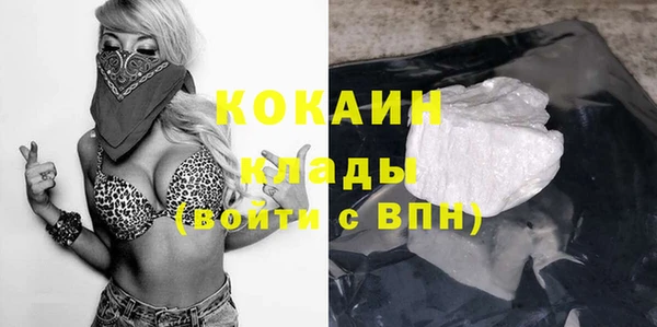 сатива Бронницы