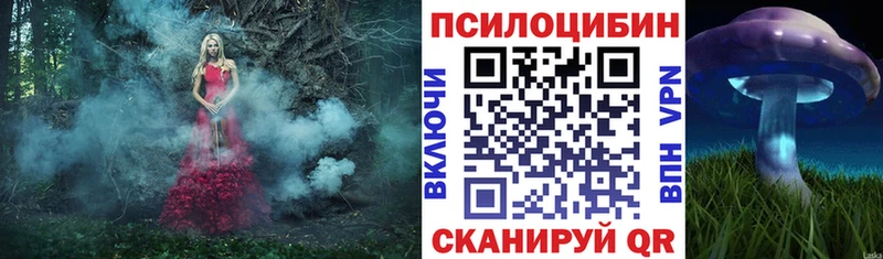 Псилоцибиновые грибы мицелий  купить закладку  Йошкар-Ола 